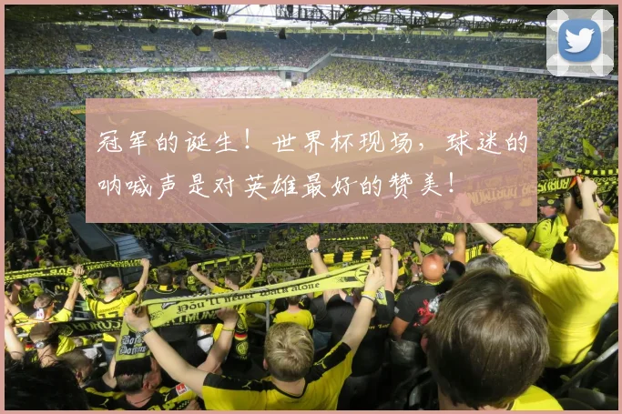 冠军的诞生!世界杯现场,球迷的呐喊声是对英雄最好的赞美!