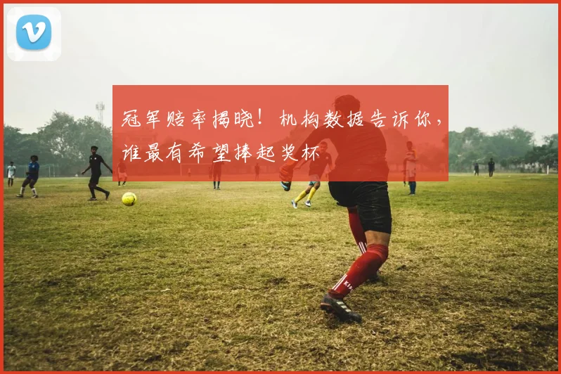 冠军赔率揭晓!机构数据告诉你,谁最有希望捧起奖杯
